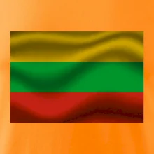 Litva vlajka obdélník