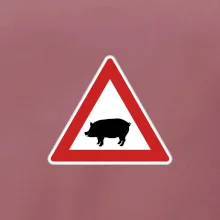 Dopravní značka - Pozor prase domácí