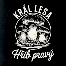 Král lesa hřib pravý
