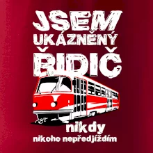 Jsem ukázněný řidič - tramvaj