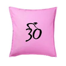 Cyklista slaví třicítku (30)