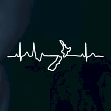 Nový Zéland EKG