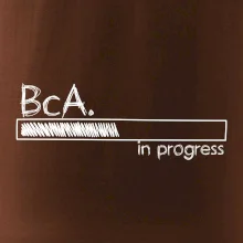 In progress  titul BcA. bakalář / bakalářka umění