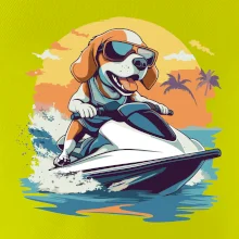 Bígl na vodním skútru