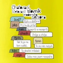 Chatovací slovník moderního seniora (Běžící češtinář)