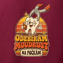 Odebírám moudrost na počkání