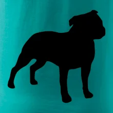 Americký stafordširský teriér  Na prsu