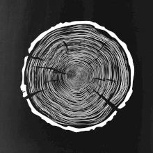 Letokruhy 100 bez věku