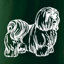 Shih-tzu - chlupatý
