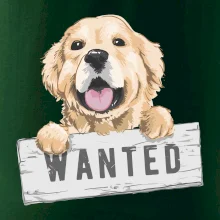 Zlatý retriever - štěně wanted