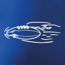 Americký fotbal letící míč