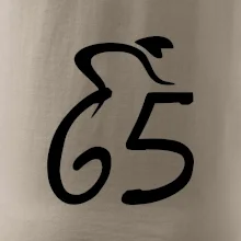 Cyklista slaví pětašedesátku (65)