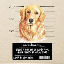 Lump a darebák zlatý retrívr