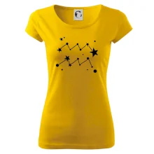 Souhvězdí - Aquarius - Vodnář