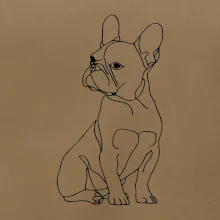 Francouzský buldoček černá kresba