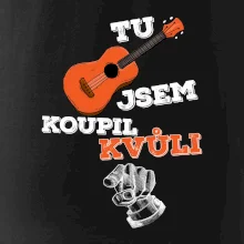Tu kytaru jsem koupil kvůli tobě