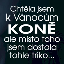 Chtěla jsem k Vánocům koně