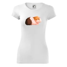 Morče - kreslené z boku