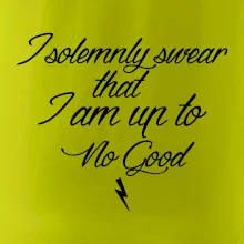 I solemnly swear that I'm up to no good