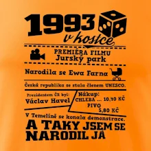1993 v kostce