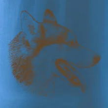 Husky - hlava z boku