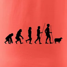 Evoluce pastevec ovcí