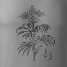 Konopí kytka černobílá