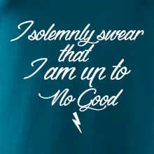 I solemnly swear that I'm up to no good