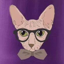 Hipster sphynx