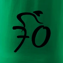 Cyklista slaví sedmdesátku (70)
