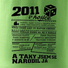 2011 v kostce