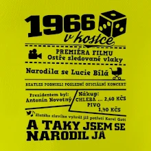 1966 v kostce