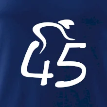 Cyklista slaví pětačtyřicítku (45)