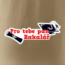 Pro tebe pan Bakalář