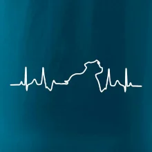 Stafordšírsky bulteriér EKG