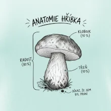 Anatomie hříbka