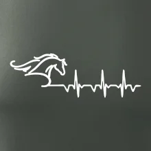 Hlava koně EKG