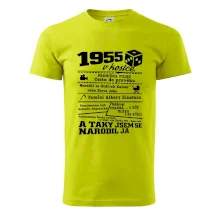 1955 v kostce