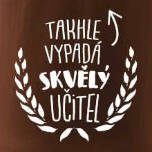 Takhle vypadá skvělý učitel