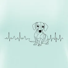 EKG křivka jezevčík