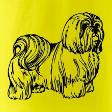 Shih-tzu - chlupatý