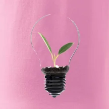 Žárovka květináč