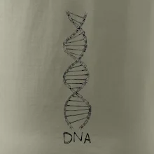Cyklistovo DNA