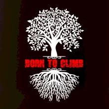 Born to climb