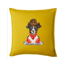 Napoleon domácí pes kříženec