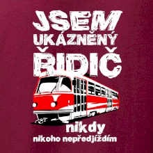 Jsem ukázněný řidič - tramvaj