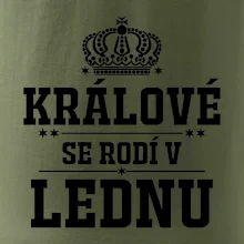 Králové se rodí v lednu