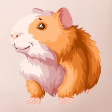 Morče - kreslené, bílo oranžové