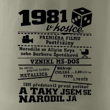 1981 v kostce
