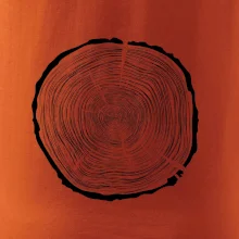 Letokruhy 80 bez věku